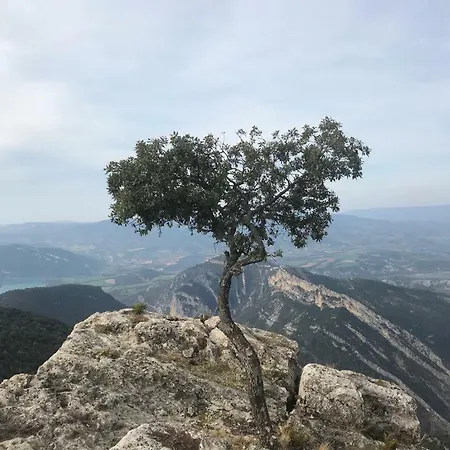 Lägenhet Cinca Pirineo En Aínsa