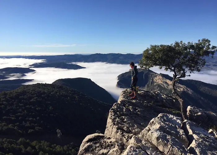 Apartamento Cinca Pirineo En Aínsa