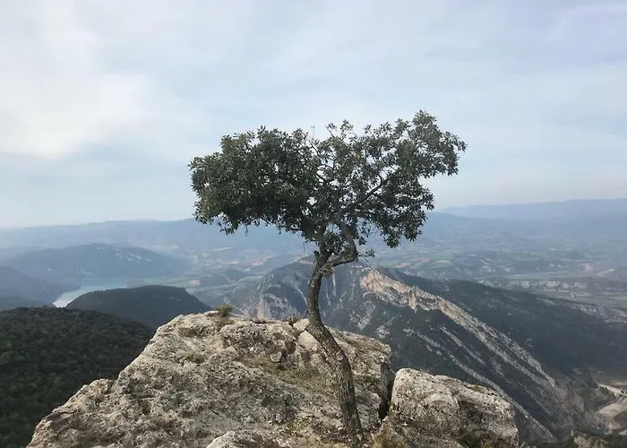 Apartamento Cinca Pirineo En Aínsa